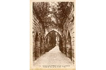 24 COUCY-LE-Chteau AVANT LA GUERRE. PORTE ET ALLEE DU PARC.-ND