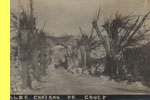 646 - ALLEE Chteau DE COUCY
