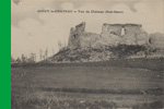 COUCY-le-Chteau - Vue du Chteau (Sud-Ouest)